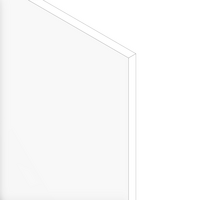 MODULAR SOLUTIONS 1/4 IN POLYCARBONATE (4 FT X 7 FT) CLEAR